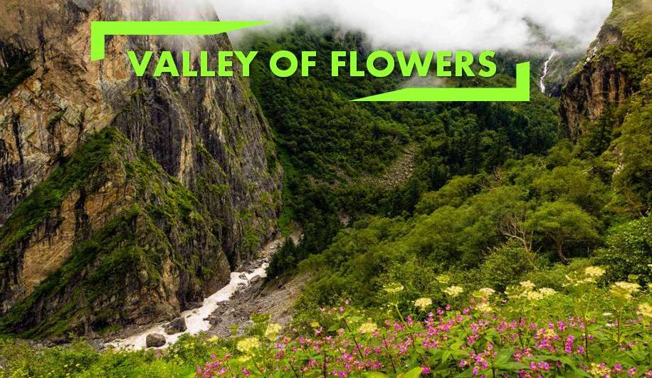 rishikesh to valley of flowers taxi service